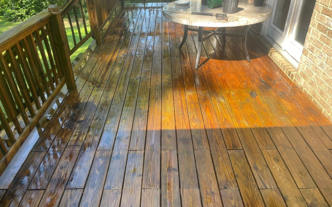 Soft Washing vs Power Washing – What’s The Difference?