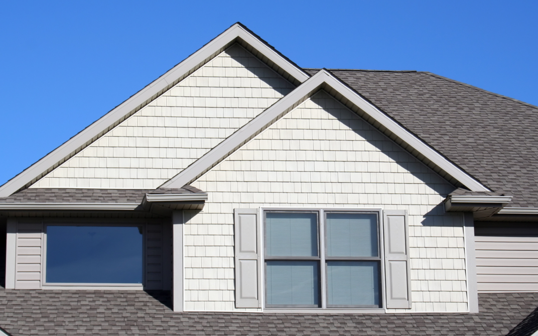 Why You Should Never Skip Roof Cleaning (Especially in McDonough!)