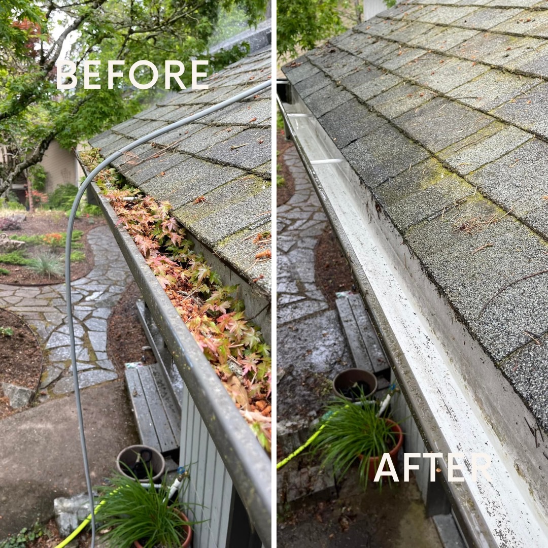 IMG_3397 gutter cleaning services in mcdonough