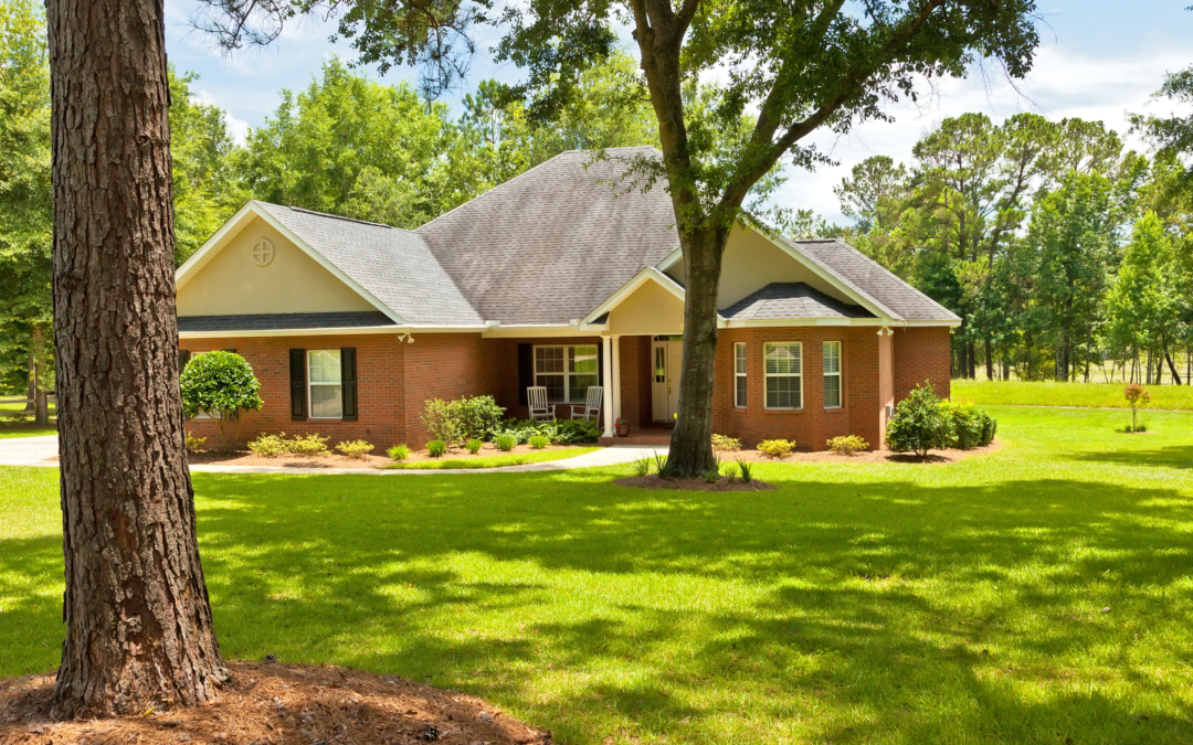 How Pressure Washing Helps Fight Mold, Mildew, and Algae