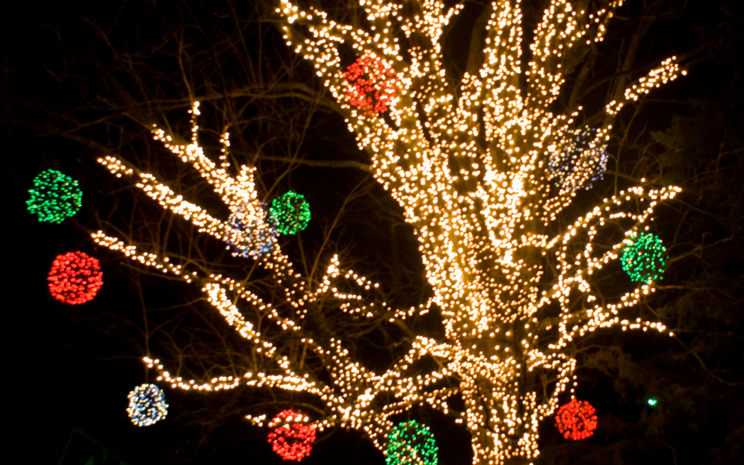 Brighten Your Holidays with Professional Christmas Light Installations in McDonough
